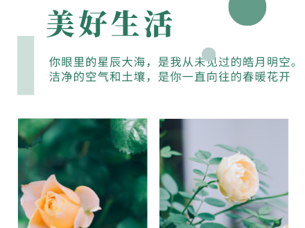 符合國家標準的第三方檢測服務